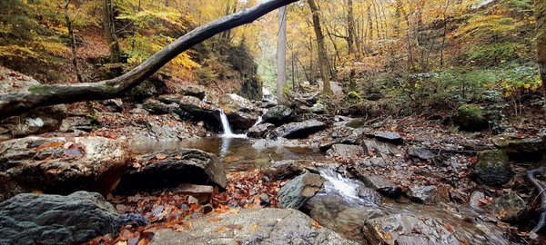 Quels sont les critères de sélection pour une chaudière à condensation économique et performante ?