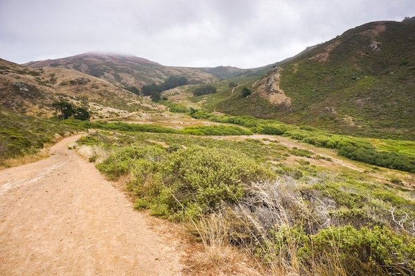 Comment choisir des luminaires extérieurs qui résistent à un climat marin?